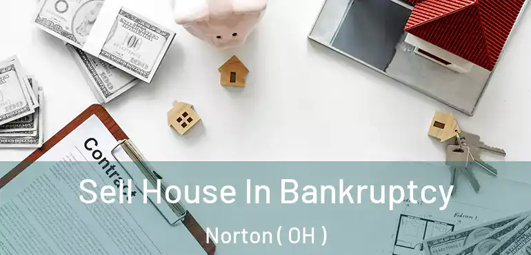  Sell House In Bankruptcy Norton ( OH )