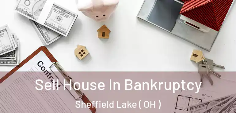  Sell House In Bankruptcy Sheffield Lake ( OH )