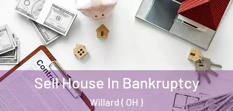  Sell House In Bankruptcy Willard ( OH )