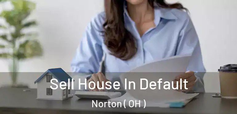  Sell House In Default Norton ( OH )