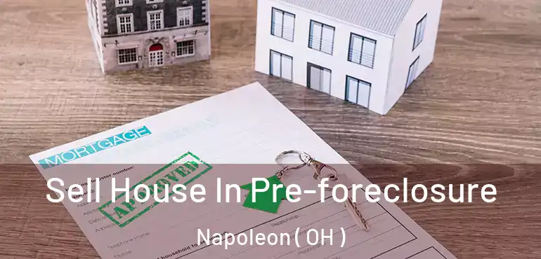  Sell House In Pre-foreclosure Napoleon ( OH )