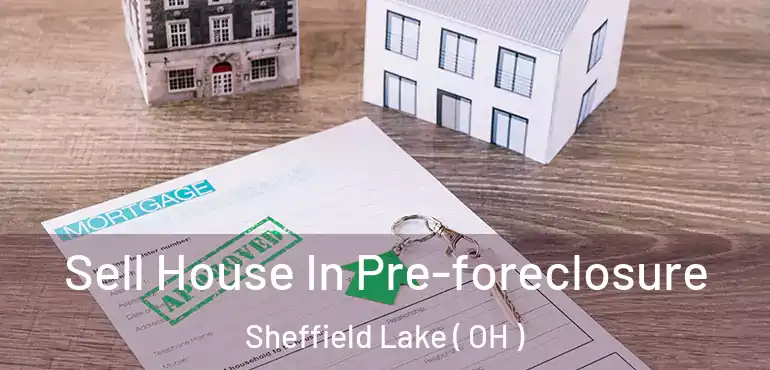  Sell House In Pre-foreclosure Sheffield Lake ( OH )