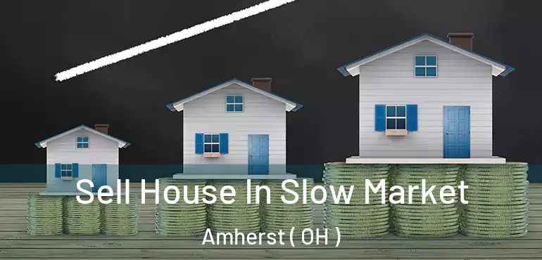  Sell House In Slow Market Amherst ( OH )