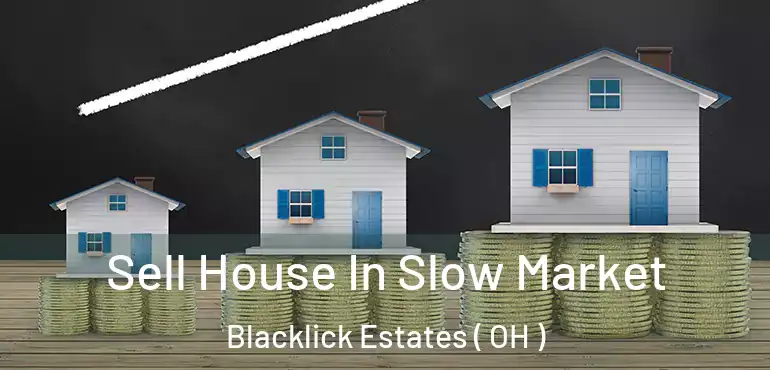 Sell House In Slow Market Blacklick Estates ( OH )