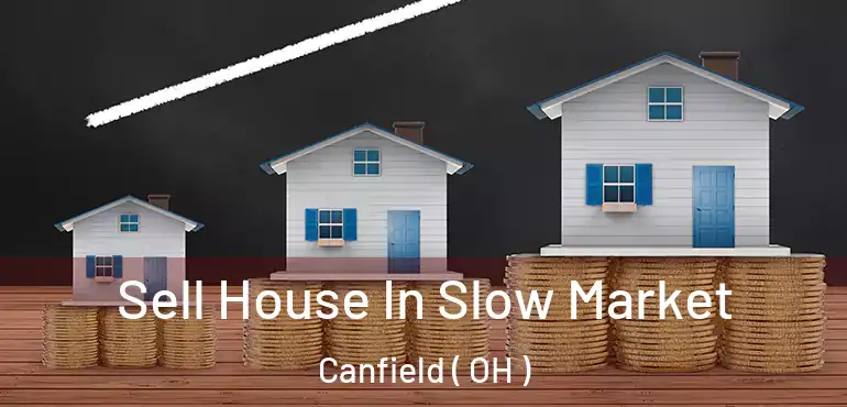  Sell House In Slow Market Canfield ( OH )