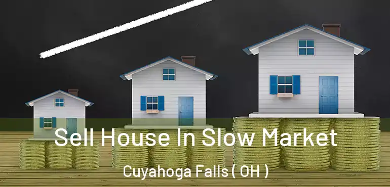  Sell House In Slow Market Cuyahoga Falls ( OH )