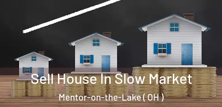  Sell House In Slow Market Mentor-on-the-Lake ( OH )