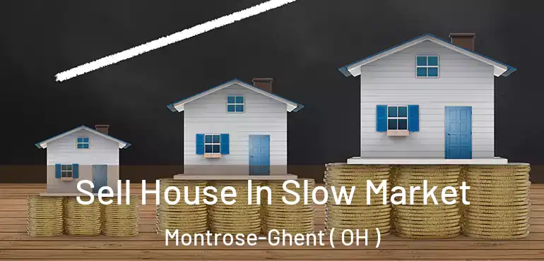  Sell House In Slow Market Montrose-Ghent ( OH )