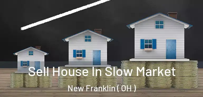  Sell House In Slow Market New Franklin ( OH )