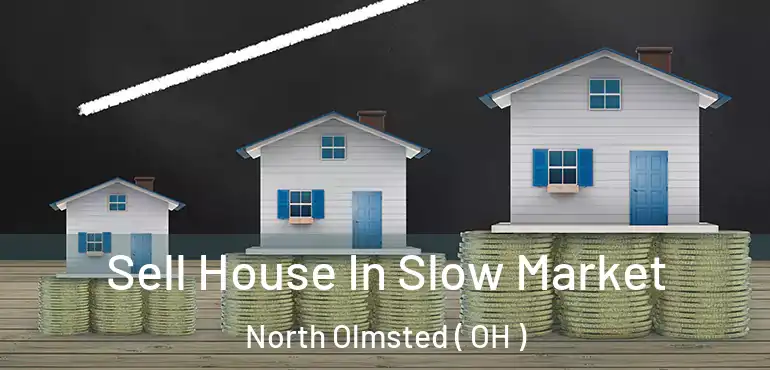  Sell House In Slow Market North Olmsted ( OH )