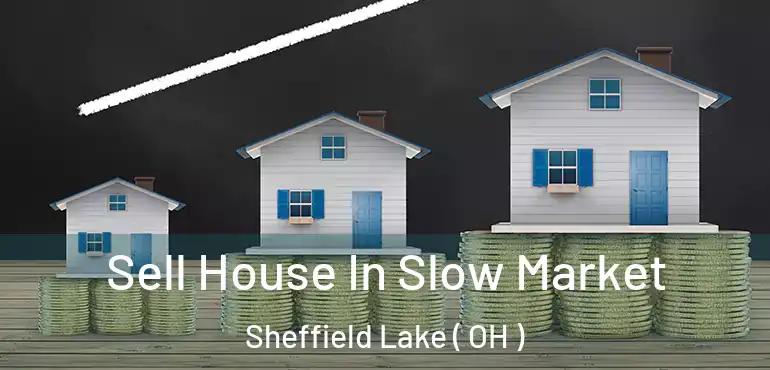  Sell House In Slow Market Sheffield Lake ( OH )
