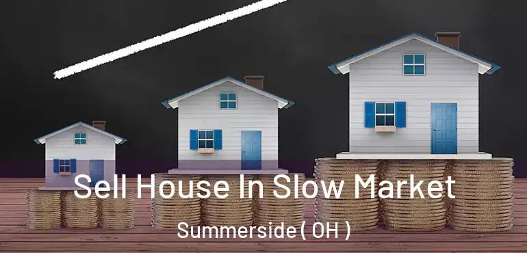  Sell House In Slow Market Summerside ( OH )