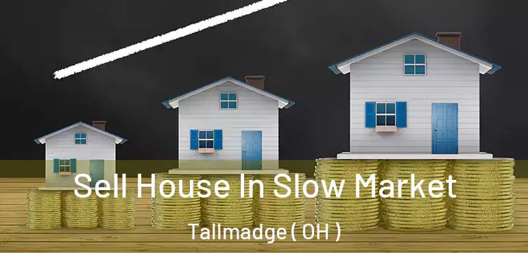  Sell House In Slow Market Tallmadge ( OH )