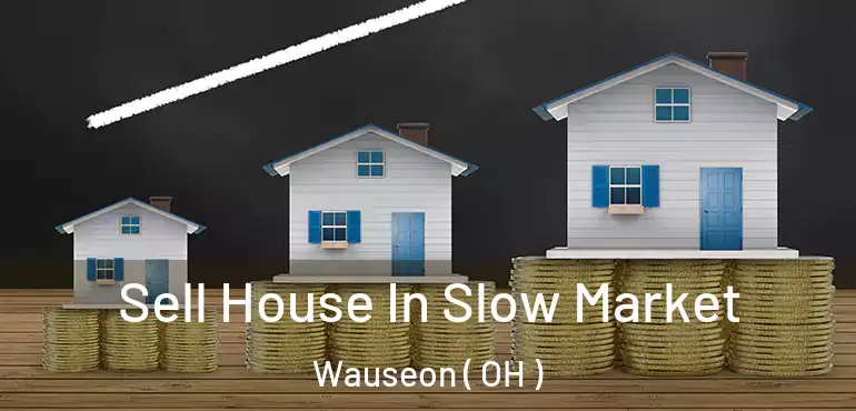  Sell House In Slow Market Wauseon ( OH )
