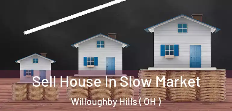  Sell House In Slow Market Willoughby Hills ( OH )