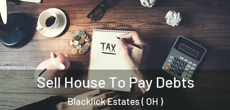  Sell House To Pay Debts Blacklick Estates ( OH )