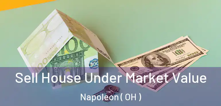  Sell House Under Market Value Napoleon ( OH )
