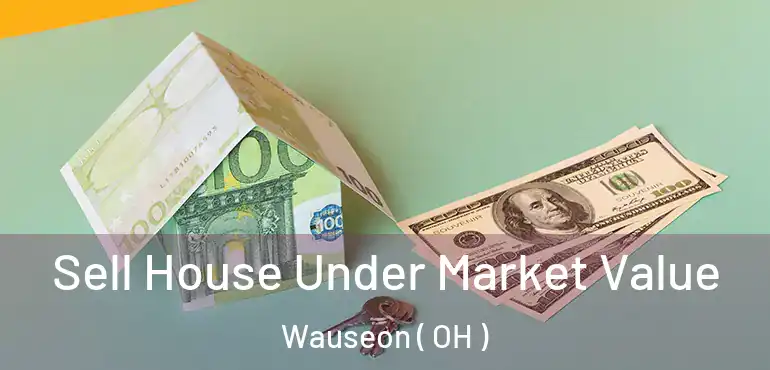  Sell House Under Market Value Wauseon ( OH )