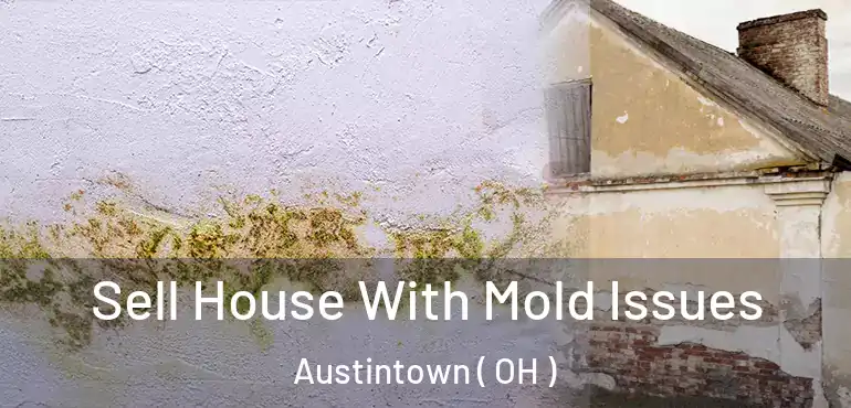  Sell House With Mold Issues Austintown ( OH )
