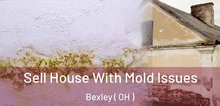  Sell House With Mold Issues Bexley ( OH )