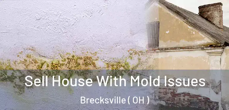  Sell House With Mold Issues Brecksville ( OH )