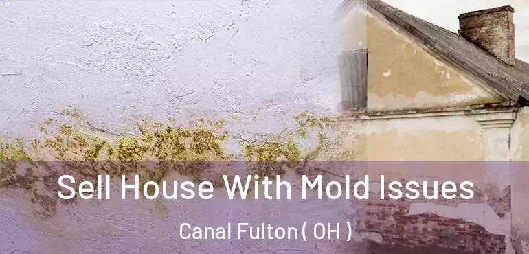  Sell House With Mold Issues Canal Fulton ( OH )
