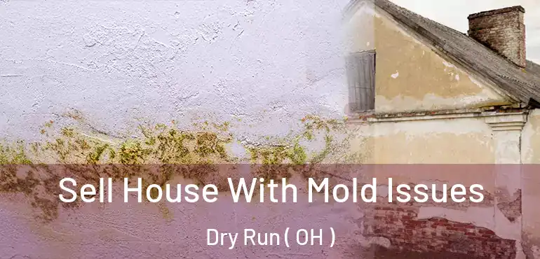  Sell House With Mold Issues Dry Run ( OH )