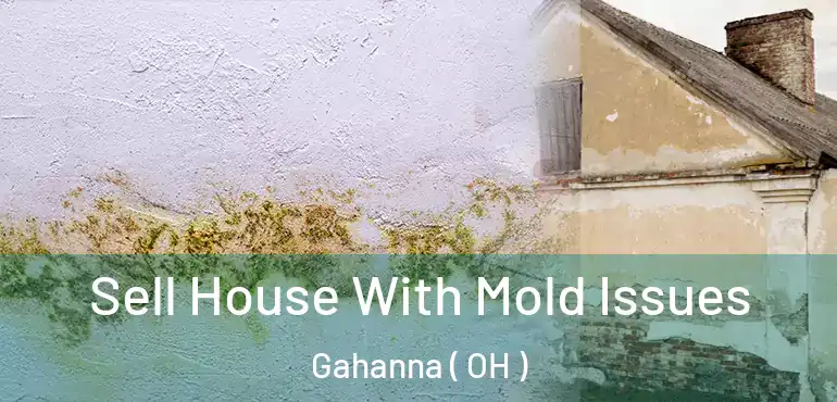  Sell House With Mold Issues Gahanna ( OH )