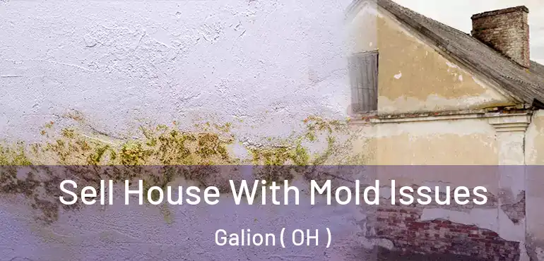  Sell House With Mold Issues Galion ( OH )