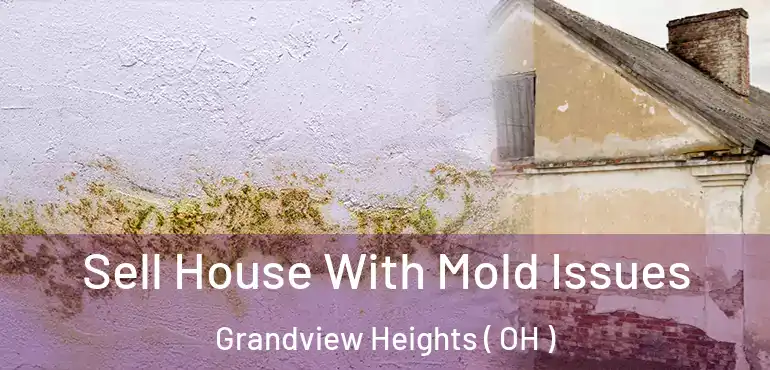  Sell House With Mold Issues Grandview Heights ( OH )