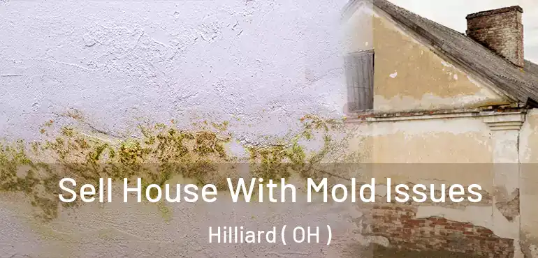  Sell House With Mold Issues Hilliard ( OH )
