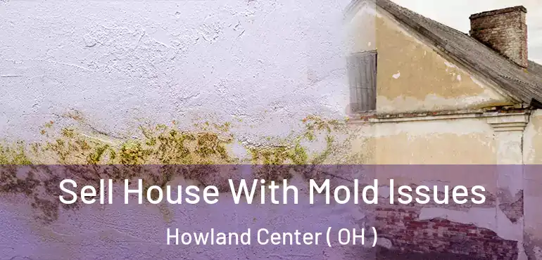  Sell House With Mold Issues Howland Center ( OH )
