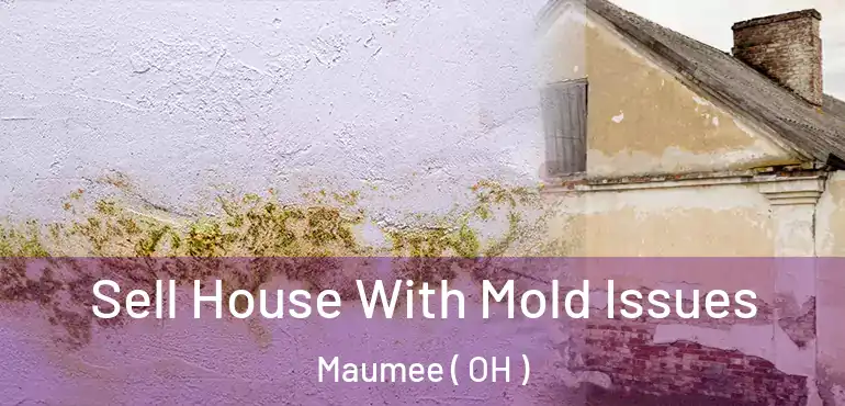  Sell House With Mold Issues Maumee ( OH )