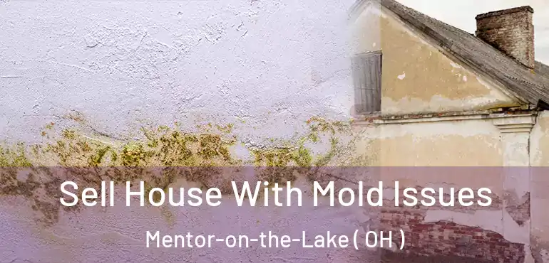  Sell House With Mold Issues Mentor-on-the-Lake ( OH )