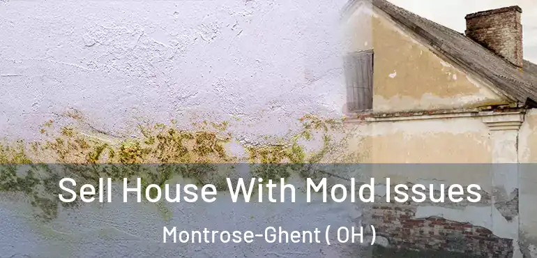  Sell House With Mold Issues Montrose-Ghent ( OH )