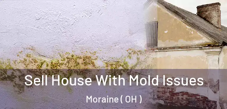  Sell House With Mold Issues Moraine ( OH )