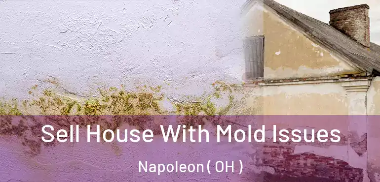  Sell House With Mold Issues Napoleon ( OH )
