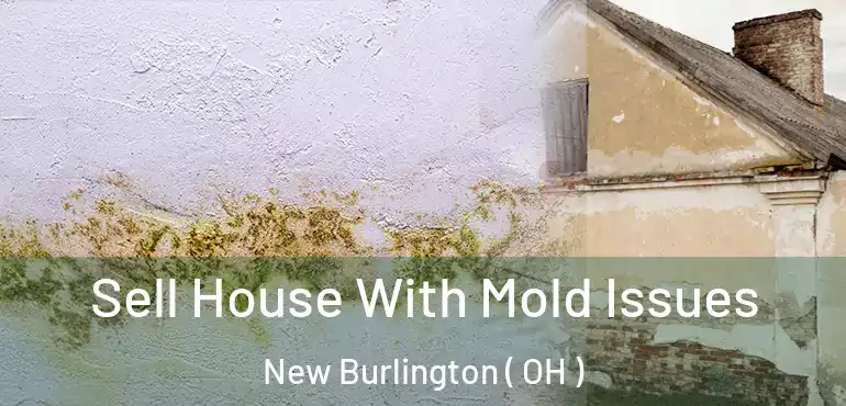  Sell House With Mold Issues New Burlington ( OH )