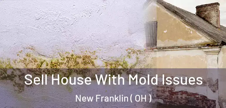 Sell House With Mold Issues New Franklin ( OH )