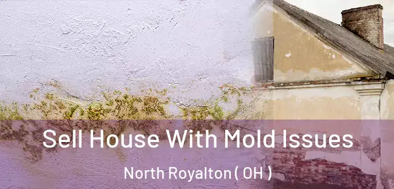 Sell House With Mold Issues North Royalton ( OH )