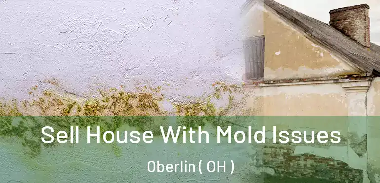 Sell House With Mold Issues Oberlin ( OH )