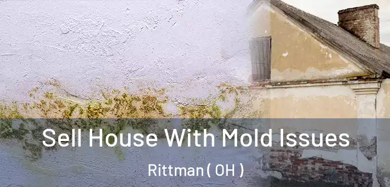  Sell House With Mold Issues Rittman ( OH )