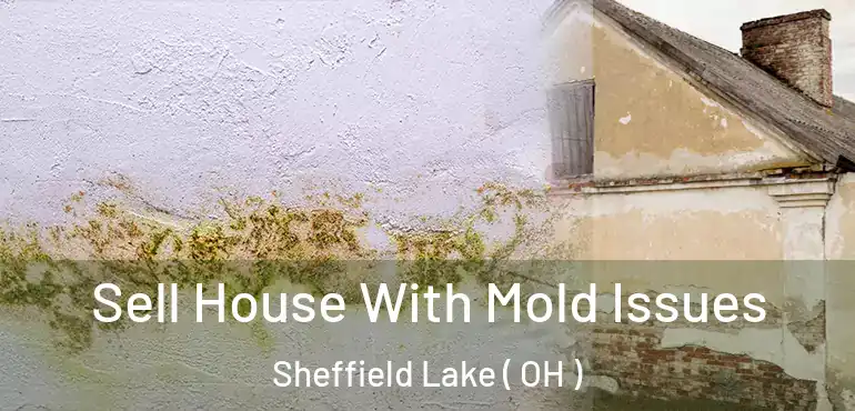  Sell House With Mold Issues Sheffield Lake ( OH )