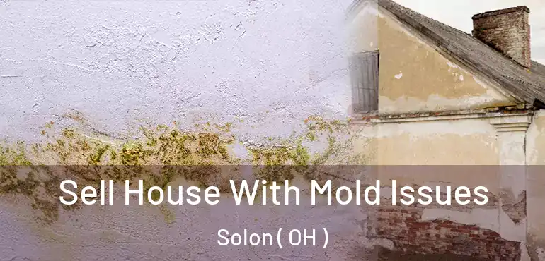  Sell House With Mold Issues Solon ( OH )