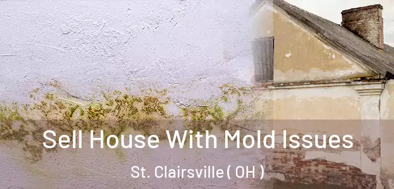  Sell House With Mold Issues St. Clairsville ( OH )