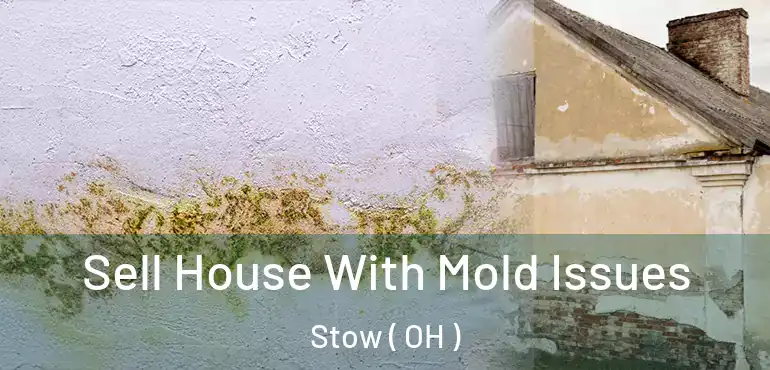  Sell House With Mold Issues Stow ( OH )