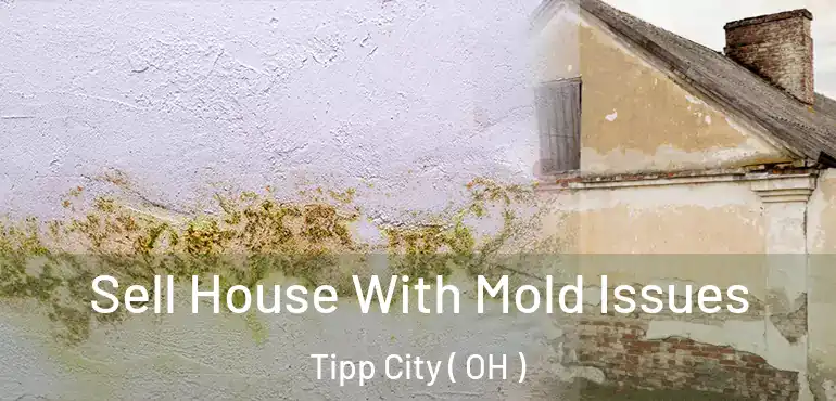  Sell House With Mold Issues Tipp City ( OH )