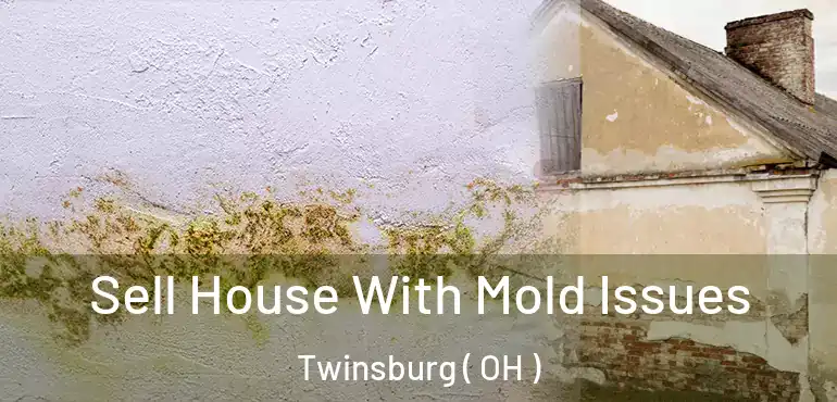  Sell House With Mold Issues Twinsburg ( OH )