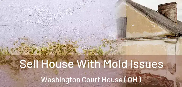  Sell House With Mold Issues Washington Court House ( OH )