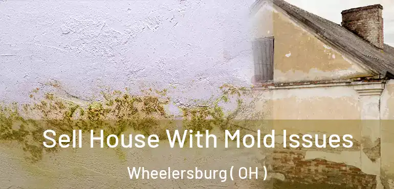  Sell House With Mold Issues Wheelersburg ( OH )